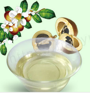 China Native 100% Pure Nature Camellia Seed Oil as good baby oil for skin care