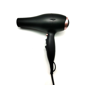 Good Price Professional Salon Ionic Household AC Blow Hair Dryer