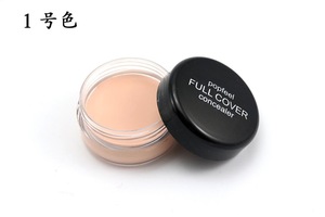 OEM Professional Facial Makeup Cover Makeup Contour Cream Concealer