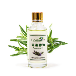 Rosemary  oil extract 100% natural plant for Food additive