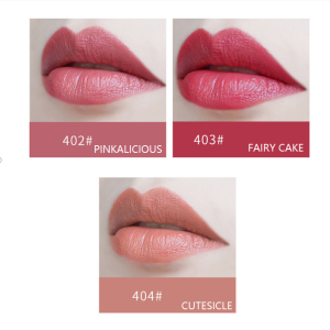 Wholesale High Quality Matte Lip Gloss Waterproof Liquid Custom Beautiful Fancy Plump Customized Lip Gloss Private Label