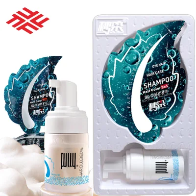 Wholesale Premium Fastcolor Mousse Pdd Free Full-Coverage Kit Permanent Bubble Hair Dye