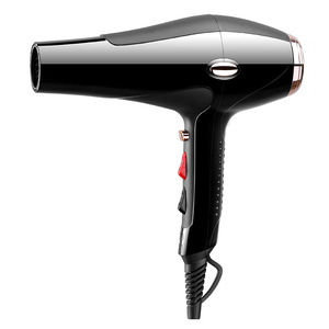 1800W DC Motor Professional Ion Personalized Hair Dryer