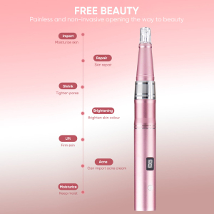 2021 Best Auto Microneedling Pen Diy Wireless Derma Pen