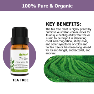 Aromatherapy Beauty Spa Aroma Diffuse Essential Oil Kit Lavender Tea Tree Pure Essential Oil Set