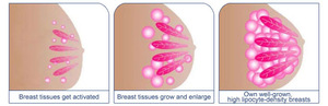 Breast Care Breast enlargement breast enhance machine