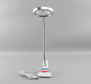 popular fashionable New design gooseneck clip reading lamp magnifier LED light bed light USB desk lamp