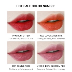 Selling Creamy Lipstick Luxury Makeup Lipstick Cosmetic Low MOQ Matte Lipstick