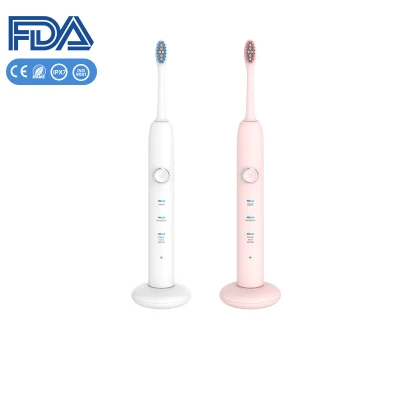 Sonic Electric Toothbrush Wholesale Manufacturer Wireless Charging Festival Gift with FDA Certification