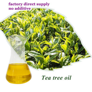 tea tree essential oil benefits