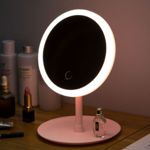 Updated 2019 Version 10X Magnifying Makeup Mirror With Lights, LED Lighted Portable Hand Cosmetic Magnification Light up Mirrors