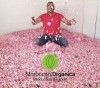 rose water moroccan wholesale