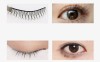 Factory direct new eyelash / growth moisturizes thick waterproof mascara