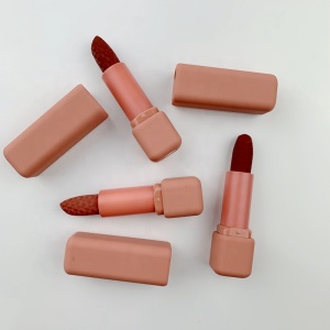 Custom private label lipstick oem solid lip stick cosmetics lipstick cruelty free lipsticks in your logo