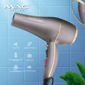 Private Brand Hair Dryer Hair drier ionic Salon Tools Professional Dependable Performance Blow Dryer ACmotor Fast Dry Hair Dryer