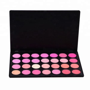 Professional cosmetic pressed 10 color makeup blusher kit waterproof blush