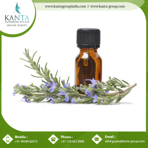Rosemary Essential Oil For Muscular Pain Repair