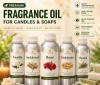 Premium Perfume Oils & Perfumes