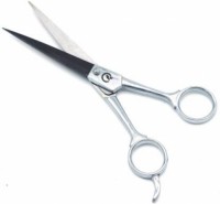 Scissors in high quality