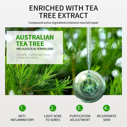 Private Label Leafmetics Organic Herbal Skincare Small MOQ Customization China Factory