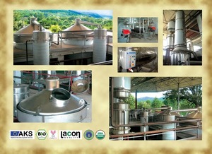 Bulgaria high quality healthy grade floral water Organic Peppermint msds hydrosol