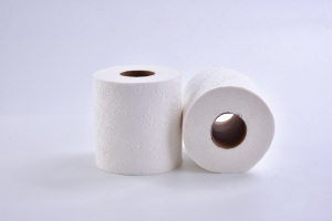 Custom Printed embossing Bath Roll dissolvable Toilet Paper in Bales