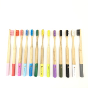 painted bamboo toothbrush 100% biodegradable  bamboo toothbrush case