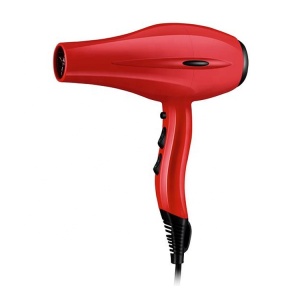 Powerful Professional Salon Hair Negative Ion Constant Temperature Blow Dryer