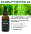 Rosemary Hair Care Essential Oil, Hair Regeneration Essential Oil, OEM