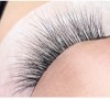 BlingBlang Handmade Individual Eyelash Extensions W Shape 3D Trident Clover Thick Style Soft Light Korean Material Camellia