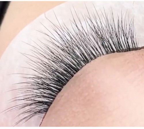 BlingBlang Handmade Individual Eyelash Extensions W Shape 3D Trident Clover Thick Style Soft Light Korean Material Camellia