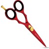 Professional barber hair scissors 5.5/6.0/6.5 9CR 62HRC Hardness cutting / Barber Hair silver shears scissor with case