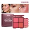 4 Color Matte Blush Palette, Mineral Soft Powder, Long Lasting Natural Rouge Powder, Multi‑Use for Cheek Blush & Facial Contour Shadow