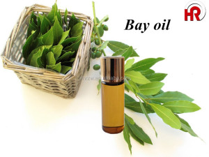 100% Pure Bay Leaf oil