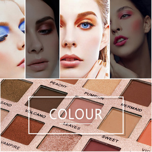 18 Color Shimmer Glitter Eye Shadow Powder Matt Eyeshadow Cosmetic Makeup brochas maquillaje profesional pinceaux maquillage