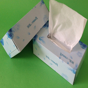 19x20cm Hot sale 100 --200sheet 2 ply 14 gsm facial tissue paper