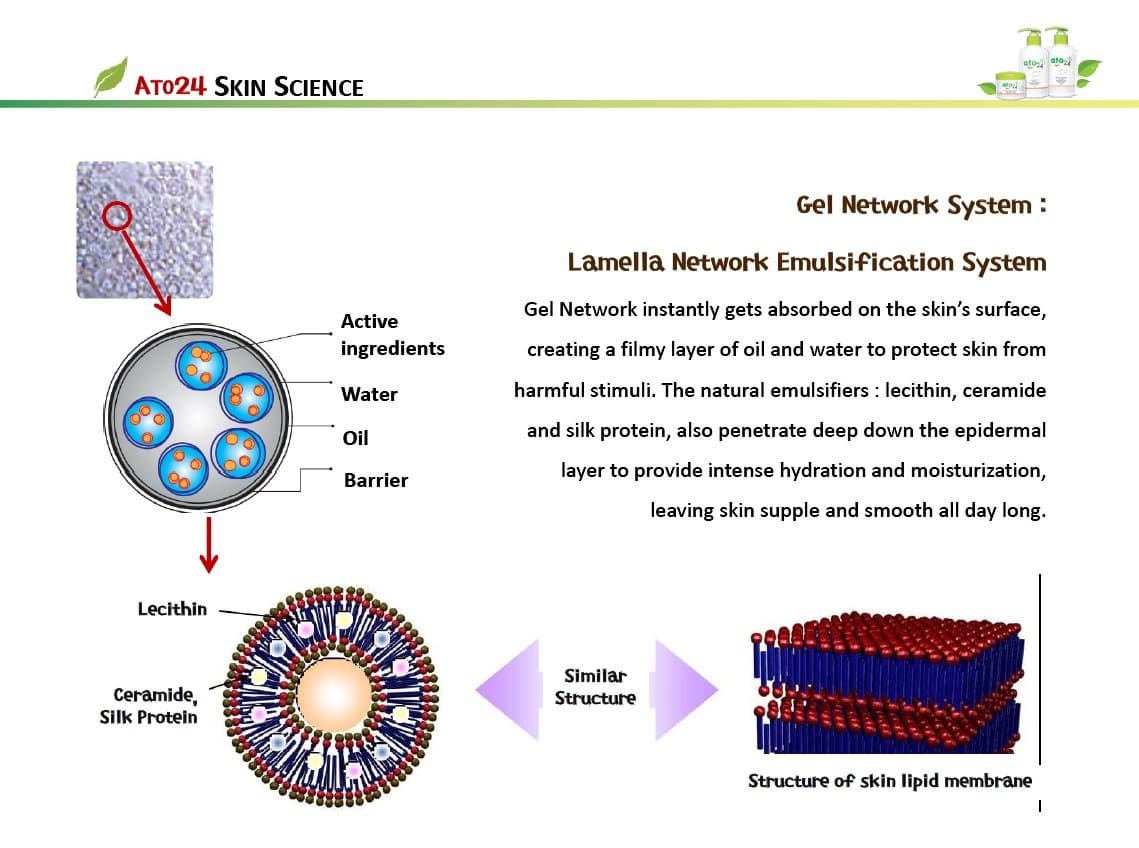 ATO24 Atopic Dermatitis Eczema Cream Lotion
