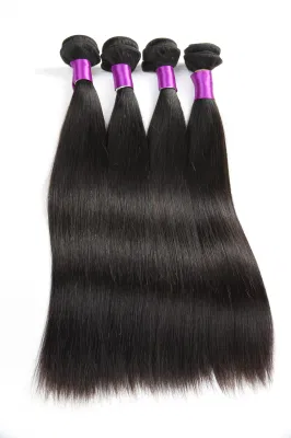 Brazilian Hair Weave Straight Human Hair Extensions with Closure