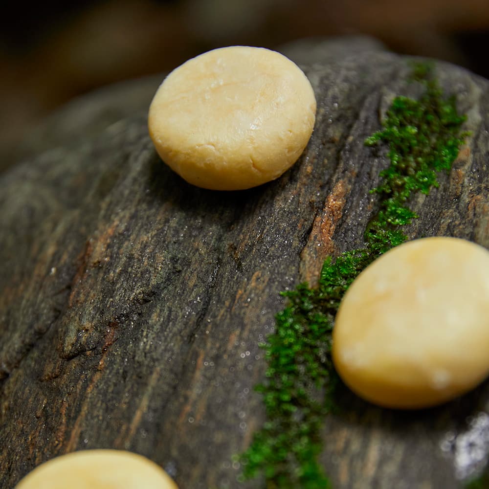 [Cloth Soap Soap] Hot Spring Go Solid Cleansing Body Bar