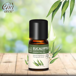 Factory Price 10ml Organic Pure Plant Natural Essential Oil Therapeutic Body Massage Oil Wholesale Eucalyptus Essential Oils