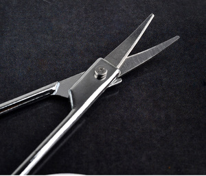 Portable Manicure Stainless Steel Makeup Scissors Eyebrow Scissors Eye Lash Eyelashes Scissors with Sharp Head