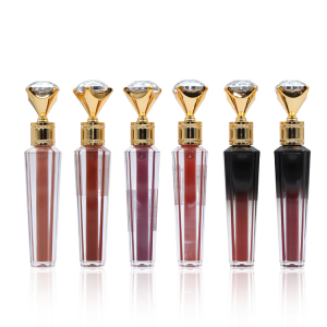 Private Label Long Lasting Makeup Lip Gloss Waterproof Moisturizing Diamond Matte Liquid Lipstick