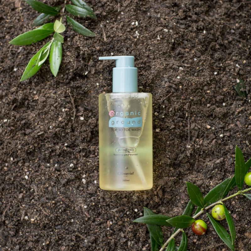 TOP TO TOE WASH
