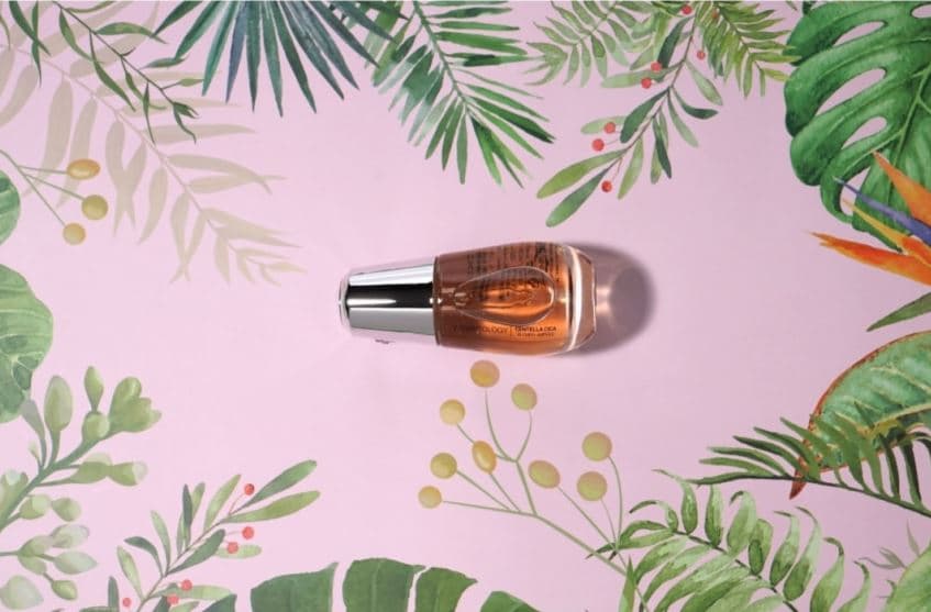 VEGANTOLOGY Centella cica care blamish ampoule(KOREA OEM COSMETICS // PRIVATE LABEL COSMETICS)