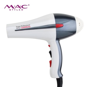 Wholesale Blow Dryer With Brushless Motor Professional Household And Salon AC Motor Hair Dryer