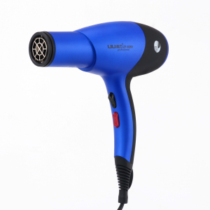 AC Motor Salon Hair Dryer High Power Professional Ionic Hair Dryer