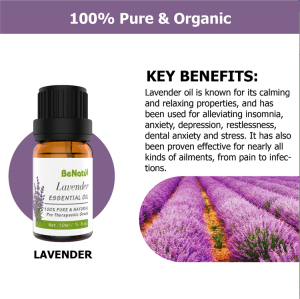 Aromatherapy Beauty Spa Aroma Diffuse Essential Oil Kit Lavender Tea Tree Pure Essential Oil Set