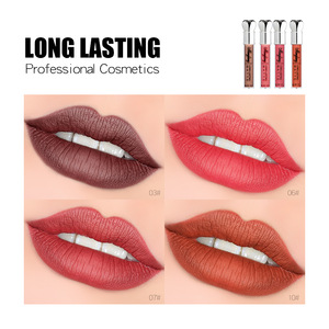 High Quality Wholesale waterproof private label long lasting matte Lip gloss