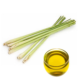 Pure and Natural Citronella Essential Oil with high quality