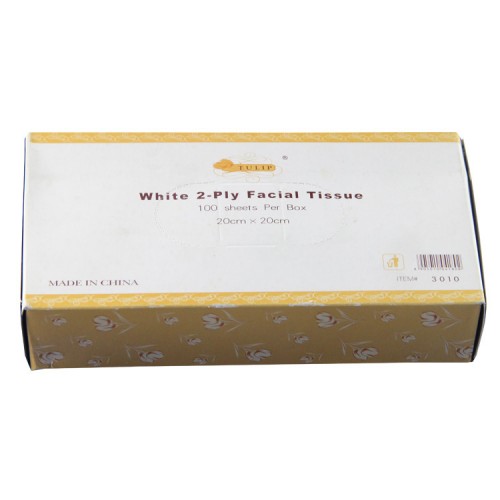 Soft silk tissue box facial tissue china facial tissues 2 ply